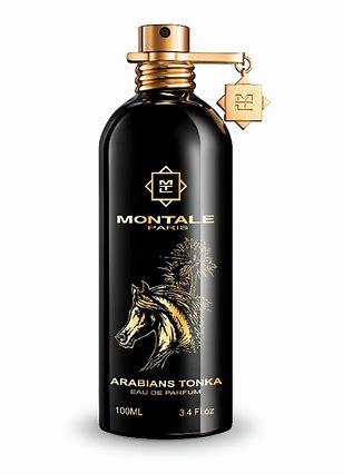 Alidul Arabians Bomba - Arabians Tonka