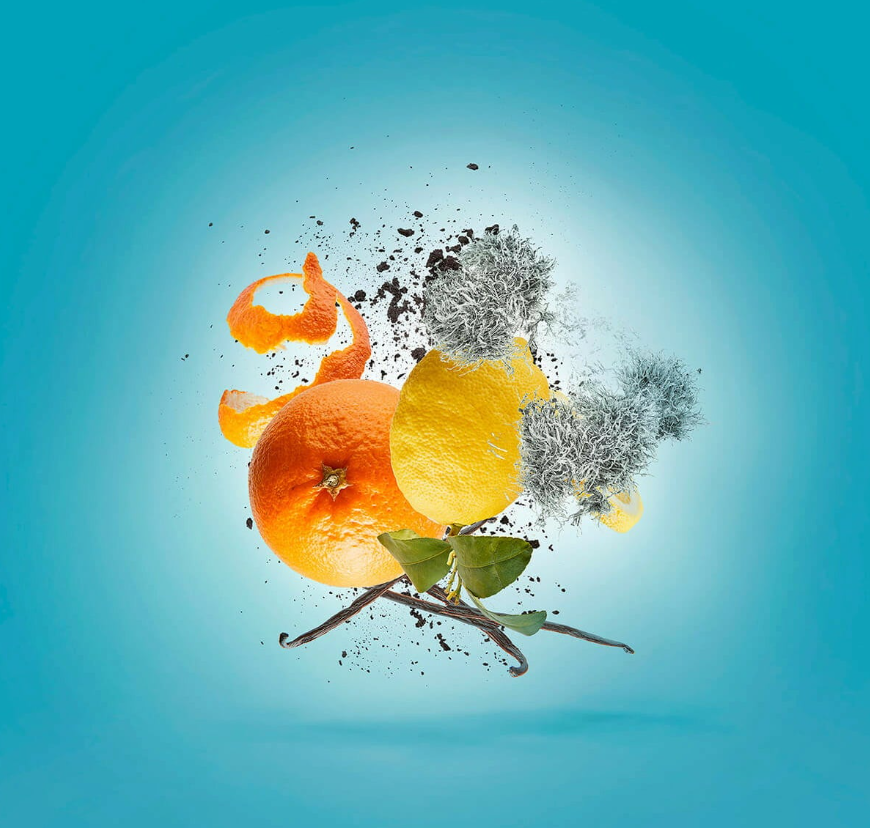 Alidul Erba Purple - Erba Pura