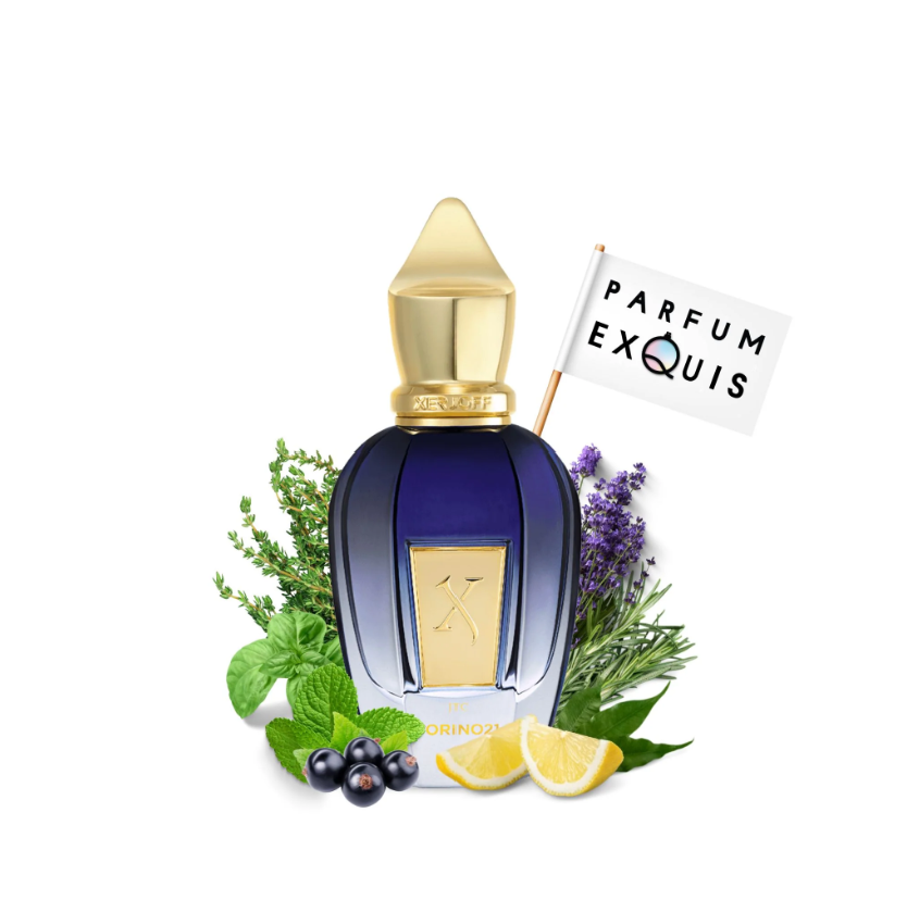 Alidul Tweny One - Torino 21